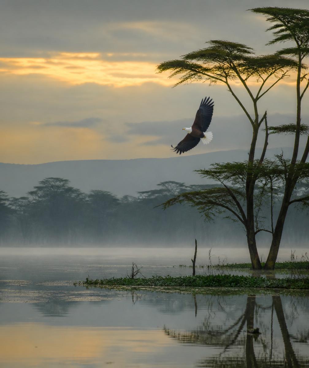 Lake Naivasha, Kenya