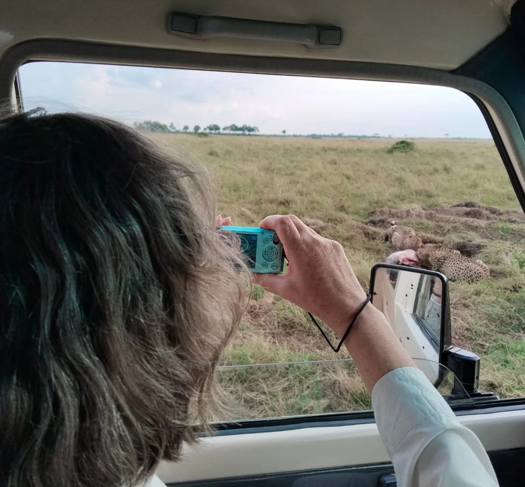 Guest photographing cheetahs on a kill from inside a safari vehicle